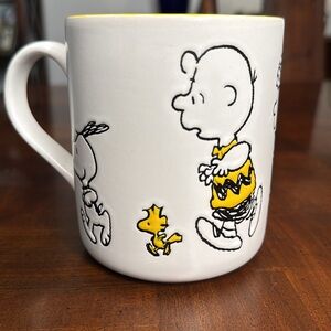 Peanuts 20 oz Charlie Brown Snoopy Woodstock Linus Sally Lucy Mug Cup